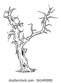 vector - Big old tree - isolated on background