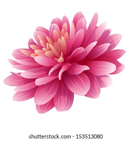 Flor rosa grande vectorial