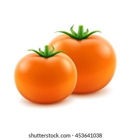 Vector Big Ripe Orange Fresh Whole Tomatoes Close up Isolated on White Background