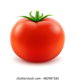 Vector Big Ripe Red Fresh Whole Tomato Close up Isolated on White Background