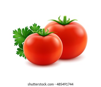 Vector Big Ripe Red Fresh Whole Tomatoes with Parsley Close up Isolated on White Background