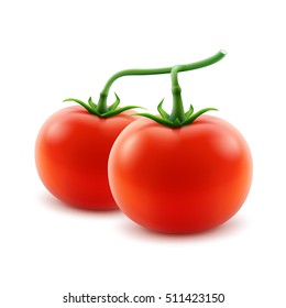 Vector Big Ripe Red Fresh Whole Tomatoes on Branch Close up Isolated on White Background