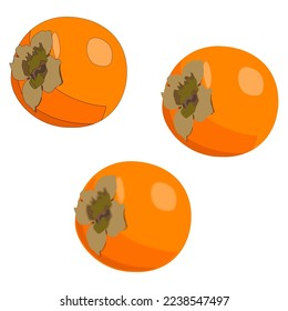 Vector big round orange ripe persimmon with petiole flat with shadows on white background