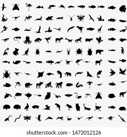 Vector Big Set of Animals Silhouettes. Mammals, Reptiles, Amphibia, Birds, Bats and other. svg