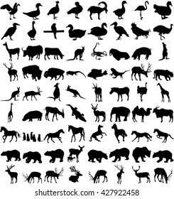 Vector Big Set of Animals Silhouettes. Mammals, Reptiles, Amphibia, Birds, Bats and other. Zoo animals collection - vector silhouette.