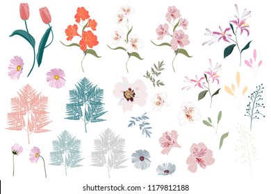 Vector Big Set botanic elements - wildflowers, herbs, leaf. collection garden and wild foliage, flowers, branches. illustration isolated on white background, fern, garden and exotic, tropical plants.