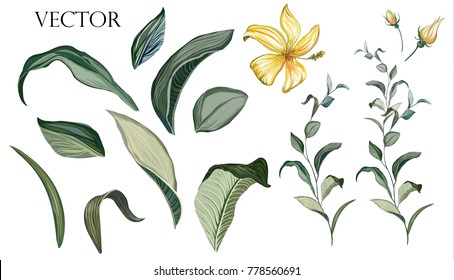 Vector Big Set botanical elements - wildflowers, herbs, leaf. collection garden and wild foliage, flowers, branches.  illustration isolated on white background, tropical leaf. Green. 