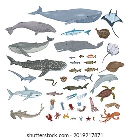 Vector Big Set of Cartoon Sea Animals and Fishes Illustrations