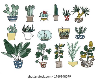 Vector gran conjunto de doodles de color de las plantas interiores en ollas: cactus, suculentos, monstera, laurel, palmeras, plátano