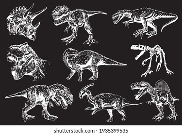 Vector big set of dinosaurs on black background,illustration,elements