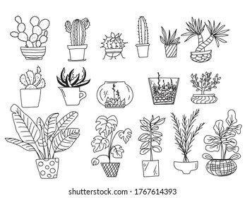 Vector big set of doodles of indoor plants in pots: cacti, succulents, monstera, laurel, palm trees, banana tree