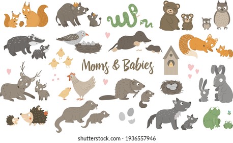 Vector big set of hand drawn flat baby animals with parents. Funny woodland animal scene showing family love. Cute forest animalistic illustration for Mothers Day design
