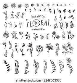 Vector Big Set hand-drawn decorative flowers and leaves. Floral collection isolated on white background.