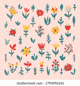 Vector big set of lovely flowers in pastel colors.Herbs and Wild Flowers. Botany. Vintage flowers. Colorful illustration. Cute floral handdrawn elements.