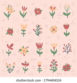 Vector big set of lovely flowers in pastel colors.Herbs and Wild Flowers. Botany. Vintage flowers. Colorful illustration. Cute floral handdrawn elements.