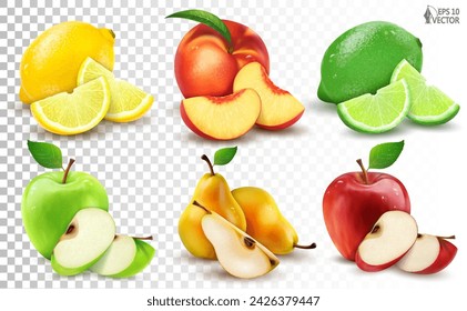 Vector big set of ripe fresh fruits. Citrus, apples and pears, whole and pieces. 3D realistic food illustrations for advertising and packaging design