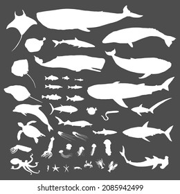 Vector Big Set of Sea Animals White Silhouette Illustrations