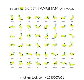 Vector big set of tangram animals. 48 color isoliron icons on a white background. Tangram children brain game cutting transformation puzzle vector set.