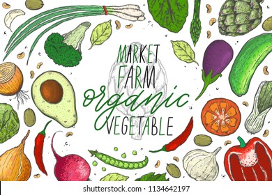 Vector big set of vegetables in a realistic sketch style. Healthy food, natural product, vegetable farm, vegan food, sports nutrition,harvesting festival. Vintage illustration.