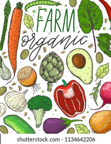 Vector big set of vegetables in a realistic sketch style. Healthy food, natural product, vegetable farm, vegan food, sports nutrition,harvesting festival. Vintage illustration.