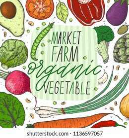 Vector big set of vegetables in a realistic sketch style. Healthy food, natural product, vegetable farm, vegan food, sports nutrition,harvesting festival. Vintage illustration.