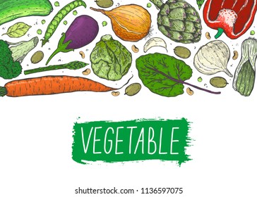 Vector big set of vegetables in a realistic sketch style. Healthy food, natural product, vegetable farm, vegan food, sports nutrition,harvesting festival. Vintage illustration.
