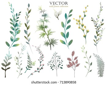 Vector Big Set watercolor elements - wildflower, herbs, leaf. collection garden, wild foliage, flowers, branches. illustration isolated on white background, eucalyptus, exotic, tropical leaf. Green. 