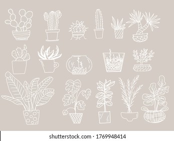 Vector big set of white color doodles of indoor house plants in pots: cacti, succulents, monstera, laurel, palm trees, banana tree