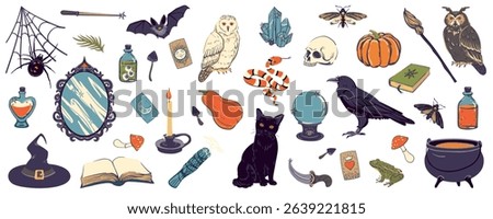 Vector big set with witch objects. Witchcraft concept, esoteric. Illustration with mirror, cauldron, skull, potion, raven, crystal, bat, black cat, candle, spider, web, ball of luck for Halloween.