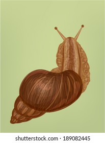 Vector big snail