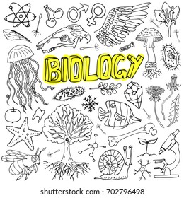 Vector biology science doodles. For school education and document decoration.
