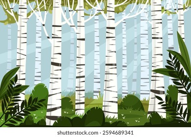 Vector birch forest background. Tall white barked wood and lush greenery. Landscape with spring tree. Woodland with timber. Panoramic flora at park. Ecology and eco environment. Nature trunk sign.