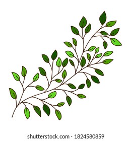 Vector of a birch tree branch. Hand drawn leaves and branch isolated on white. Doodle birch leaves for design. Vector illustration. Botanical print. Organic natural shape