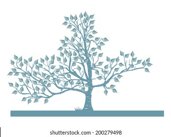 Vector birch tree with detailed leaves