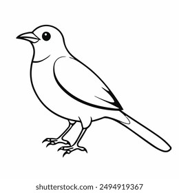 vector bird art free download