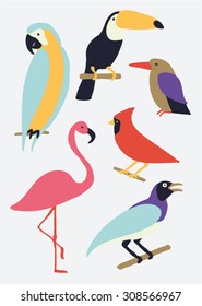 Vector bird background