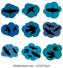vector bird black silhouette blue sky