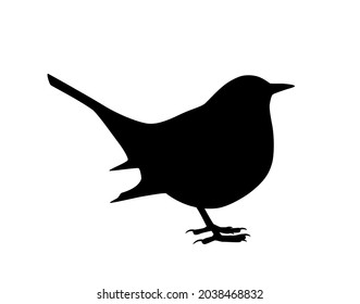 silueta de ave vectorial (ave negra) aislada en fondo blanco