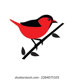 vector bird branch red color,pj