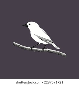 bifurcación de pájaro vectorial apariencia blanca bonita,pj
