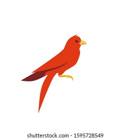 Vector bird character, cute bird design with a simple design concept.