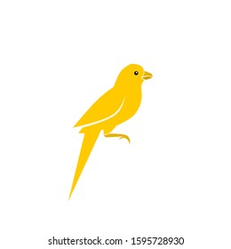 Vector bird character, cute bird design with a simple design concept.