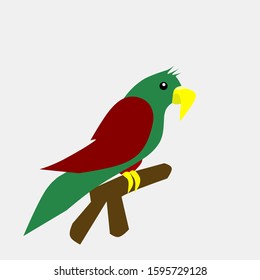 Vector bird character, cute bird design with a simple design concept.