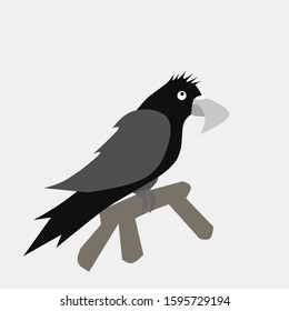 Vector bird character, cute bird design with a simple design concept.