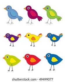Vector Bird Collection
