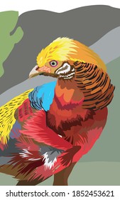 Vector bird with colorful feathers for posters or home decoration