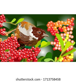 Vector bird drawing for background, fashion design, bags. Close-up with space for text