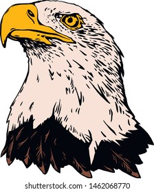 Vector bird. Eagle illustration. Good for logos and posters.