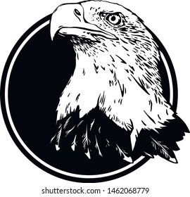 Vector bird. Eagle illustration. Good for logos and posters.