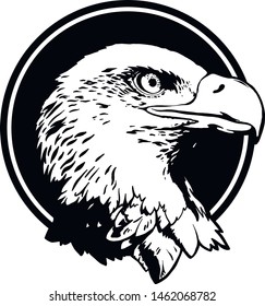 Vector bird. Eagle illustration. Good for logos and posters.